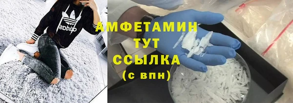 соль ск Новозыбков