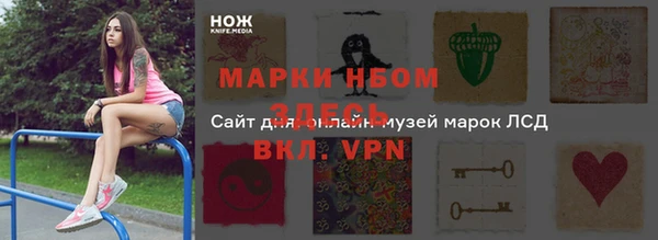 соль ск Новозыбков