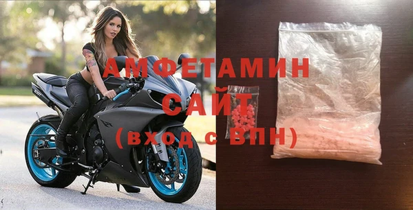 соль ск Новозыбков