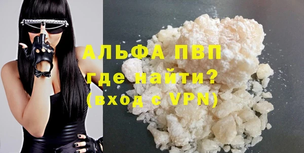 соль ск Новозыбков