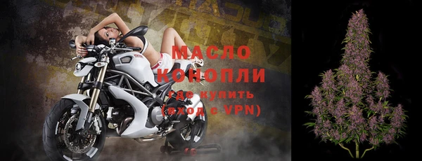 соль ск Новозыбков