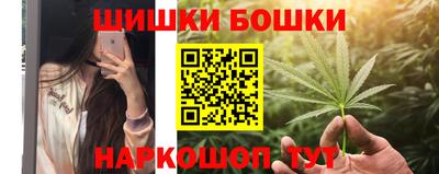 индика Гусев