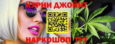 индика Гусев