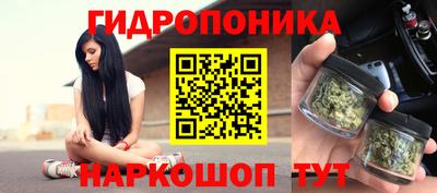дживик Бийск