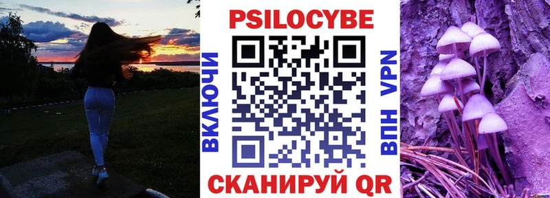 закладка Котельники blacksprut вход нарко площадка состав Галлюциногенные грибы Magic Shrooms