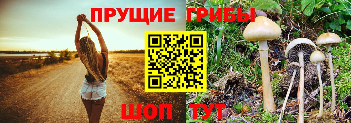 Галлюциногенные грибы Cubensis  Котельники 