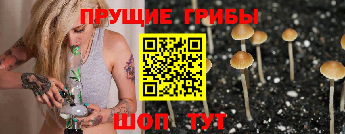 где можно купить   Псилоцибиновые грибы прущие грибы  Вход с VPN  Котельники 