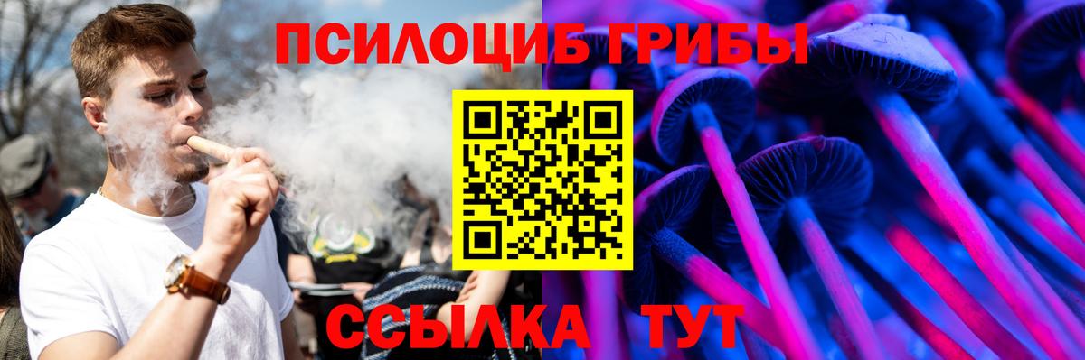 Галлюциногенные грибы мицелий Котельники